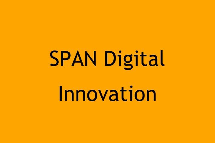 Technology Company SPAN Digital Innovation