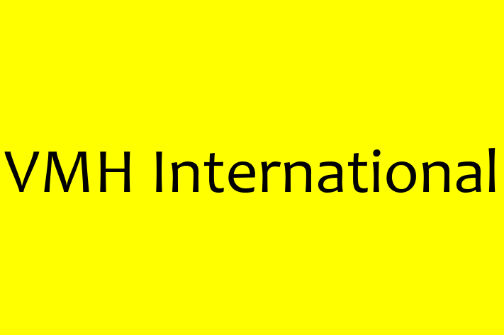 Technology Solutions Firm VMH International