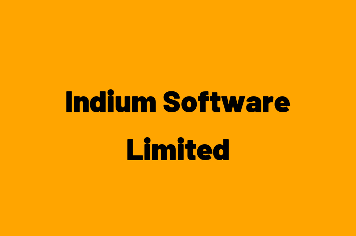 Application Development Company Indium Software Limited