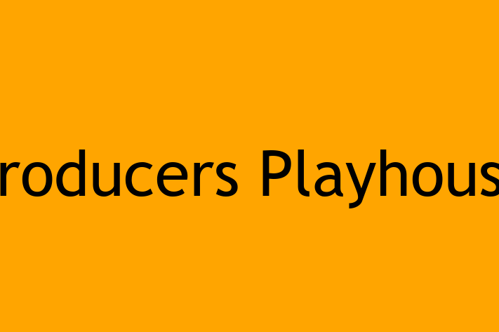 Software Solutions Provider Producers Playhouse