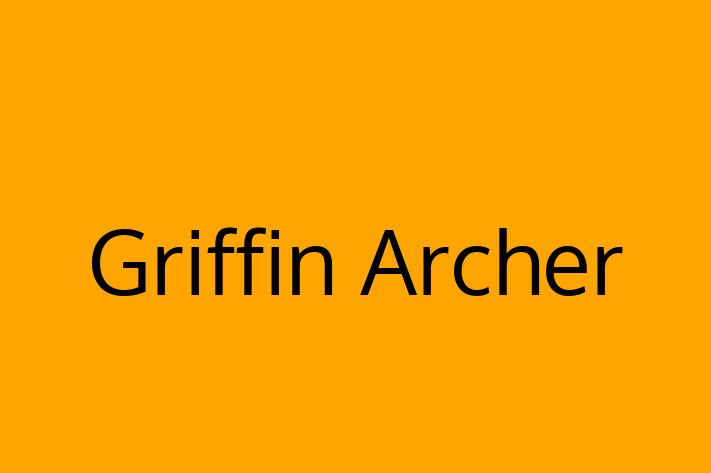 Tech Solutions Company Griffin Archer