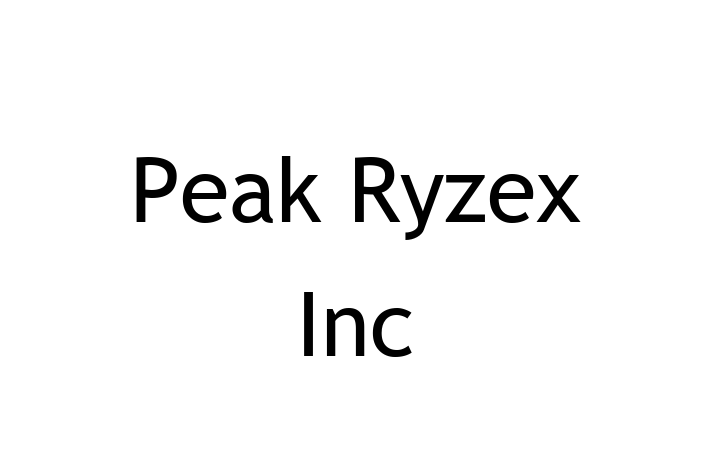 Digital Solutions Provider Peak Ryzex Inc