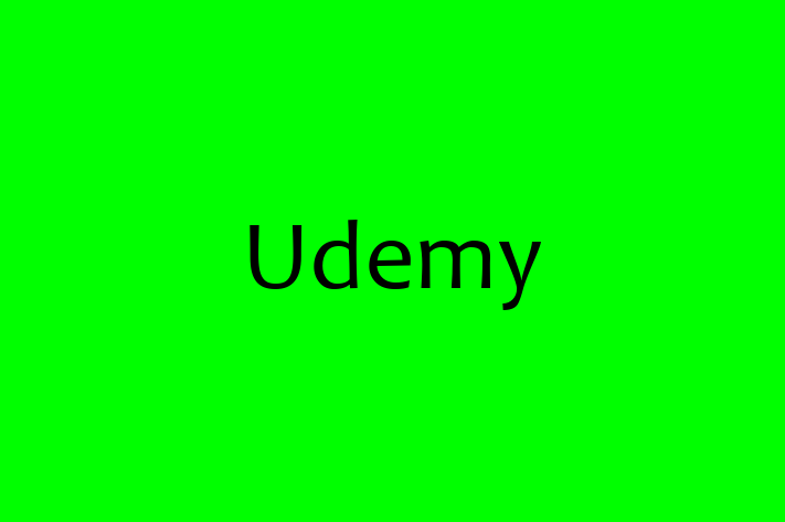 IT Company Udemy