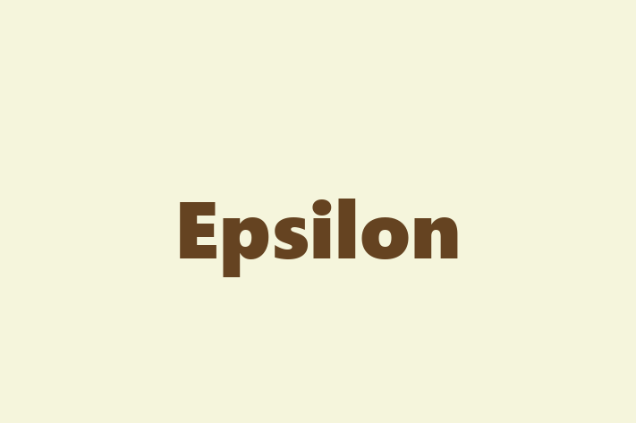 Software Services Company Epsilon