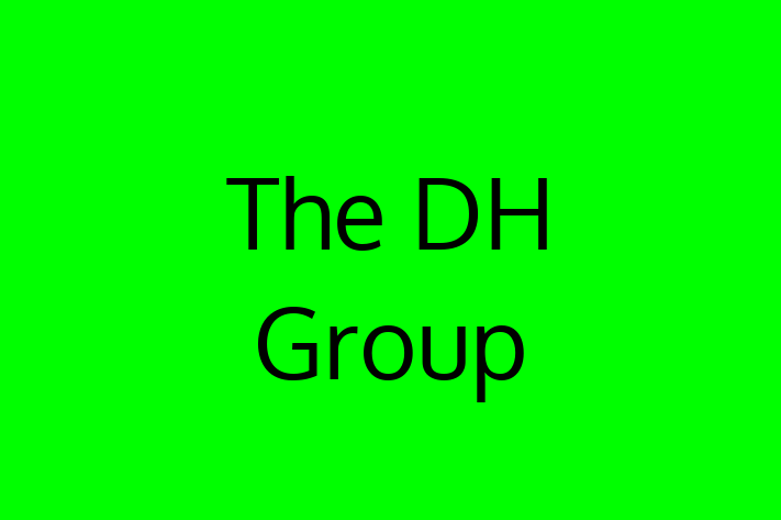 Tech Firm The DH Group