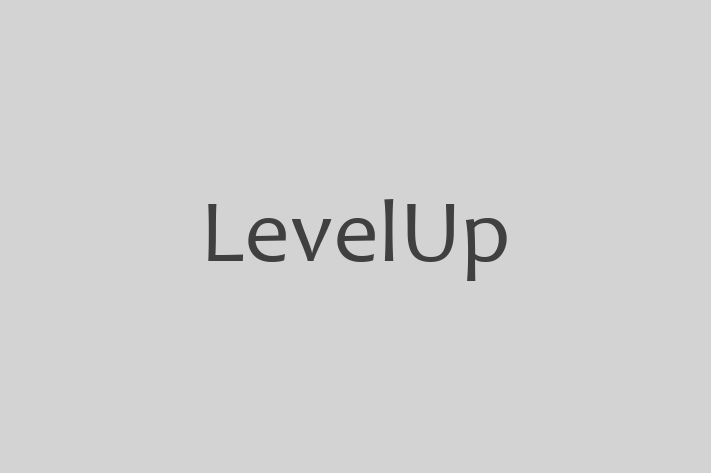 IT Company LevelUp