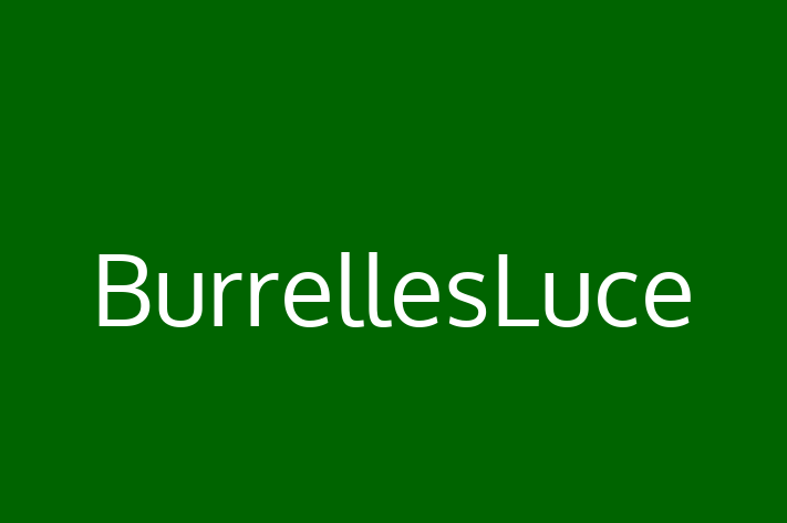 Software Solutions Provider BurrellesLuce