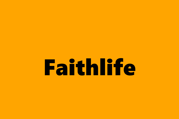 Technology Company Faithlife