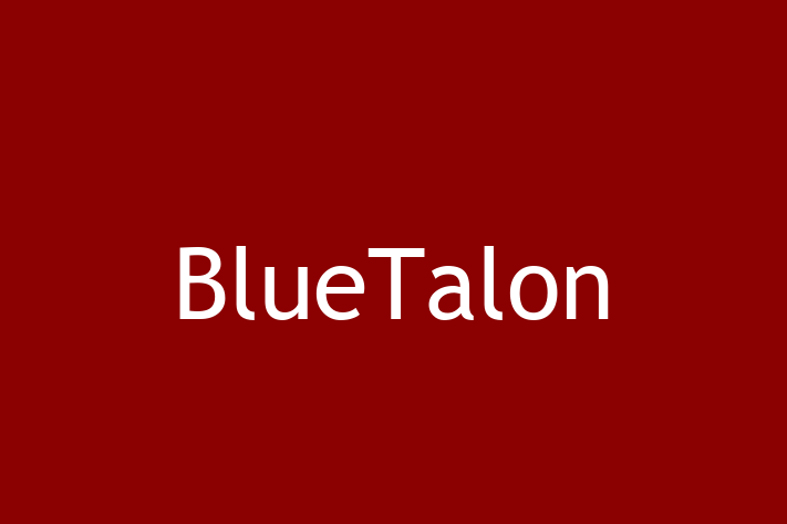 Software Consultancy BlueTalon