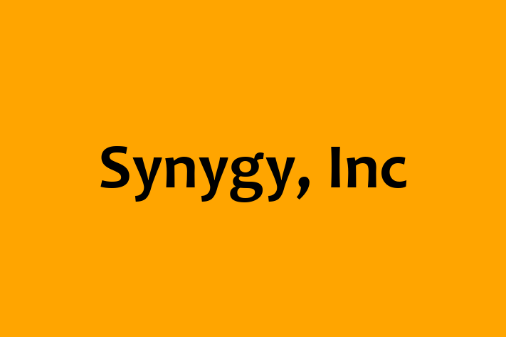 Digital Solutions Provider Synygy Inc