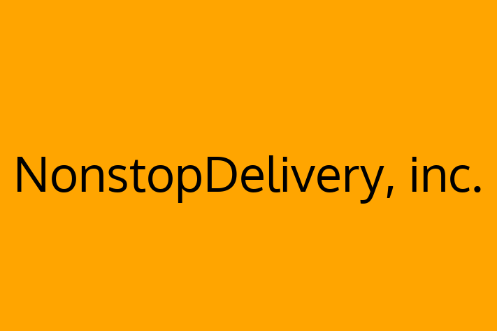 Tech Solutions Company NonstopDelivery inc.