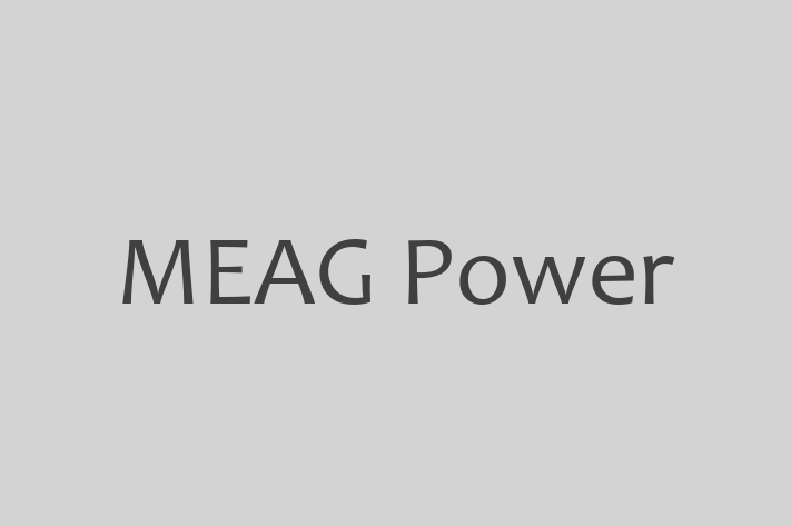 Software Services Company MEAG Power