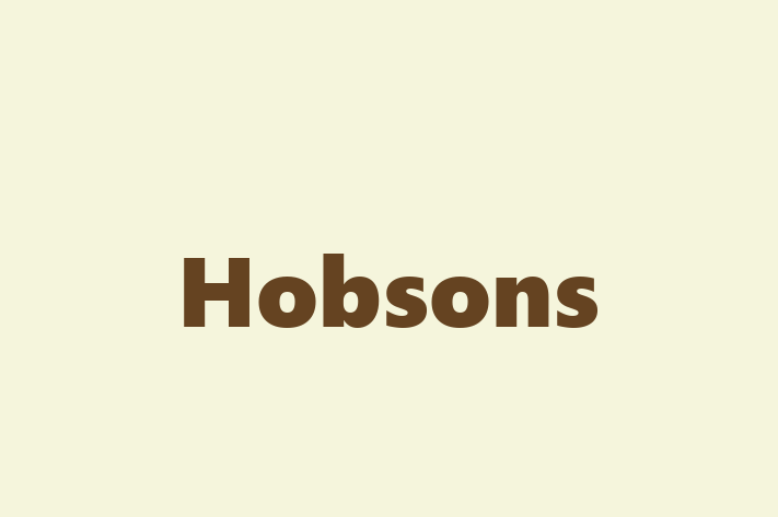 Digital Solutions Provider Hobsons