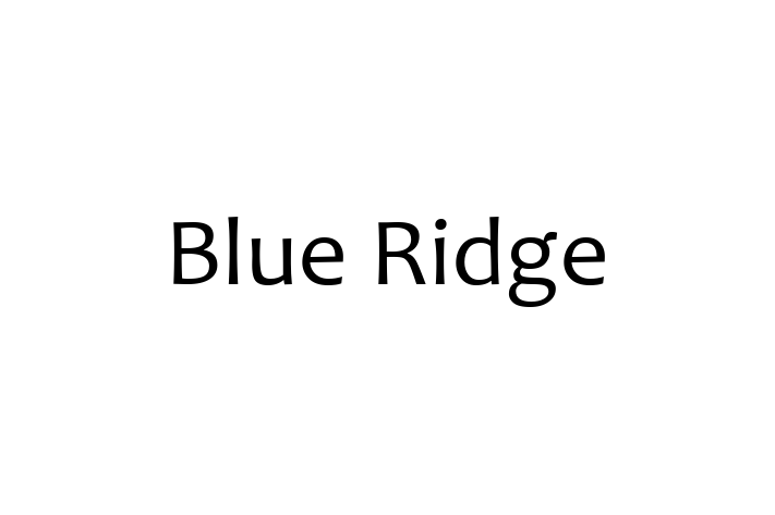 IT Company Blue Ridge