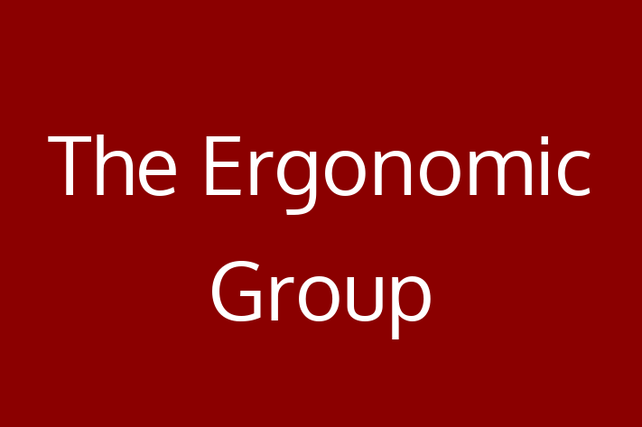 Software Engineering Company The Ergonomic Group