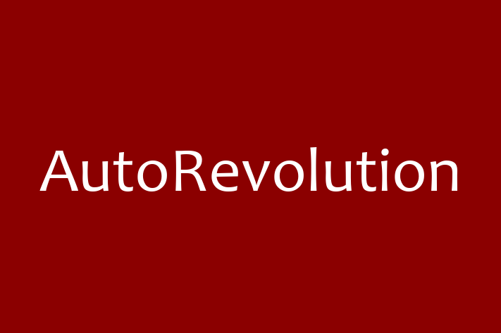 IT Company AutoRevolution