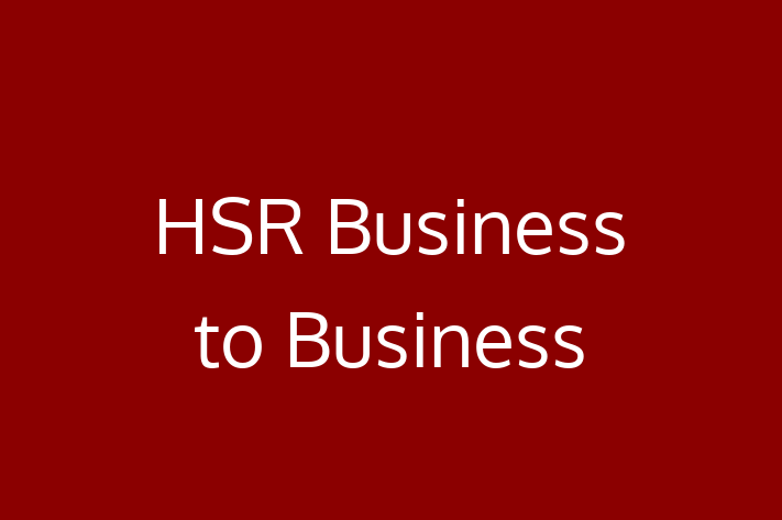 Application Development Company HSR Business to Business