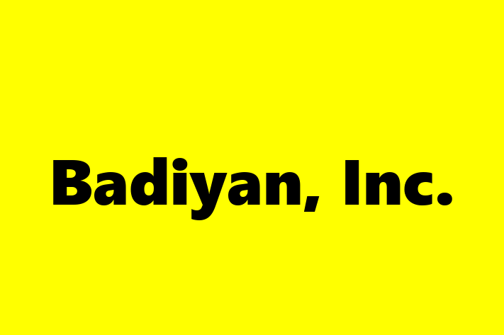 Staff Management Badiyan Inc.