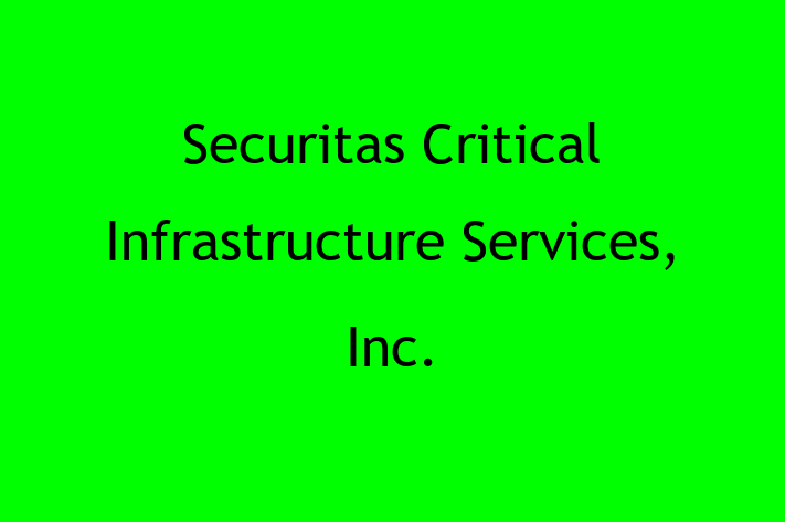 Software Development Company Securitas Critical Infrastructure Services Inc.