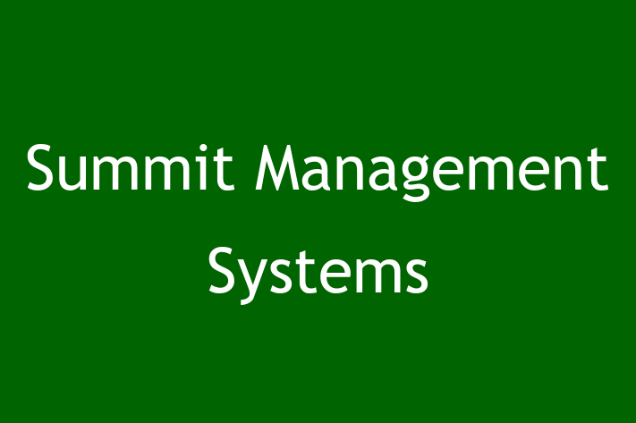 Software Engineering Company Summit Management Systems