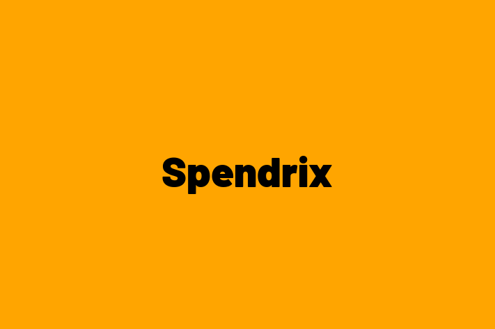 Software Services Company Spendrix