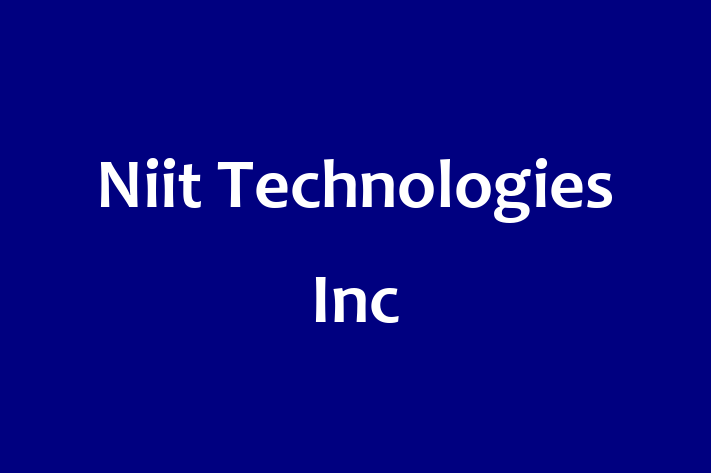 Tech Solutions Company Niit Technologies Inc