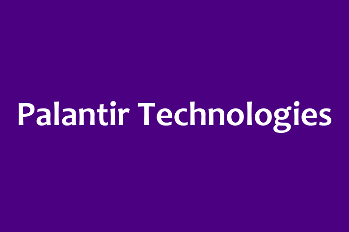 Software Engineering Company Palantir Technologies