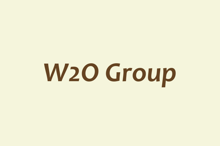 IT Company W2O Group