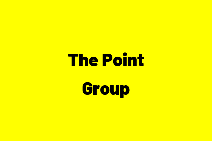 Digital Solutions Provider The Point Group