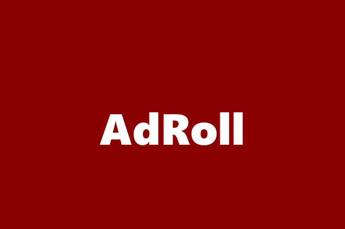 Tech Solutions Company AdRoll