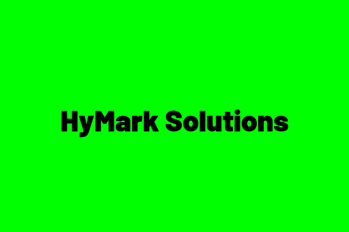 Technology Solutions Firm HyMark Solutions