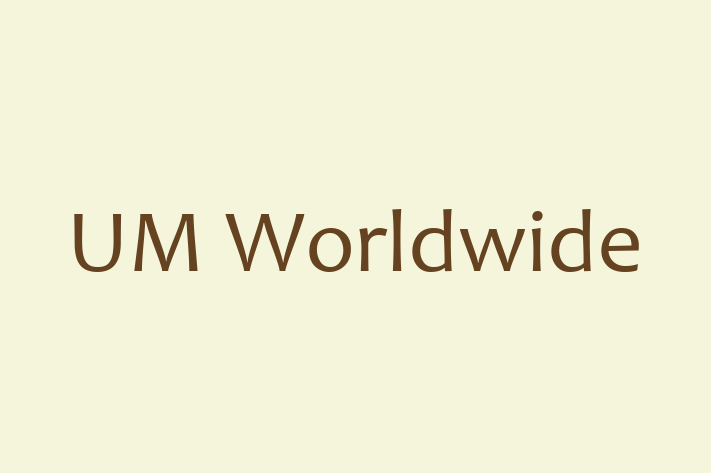 Digital Solutions Provider UM Worldwide