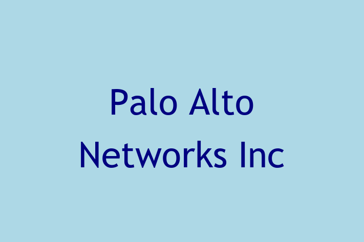 Software Consultancy Palo Alto Networks Inc