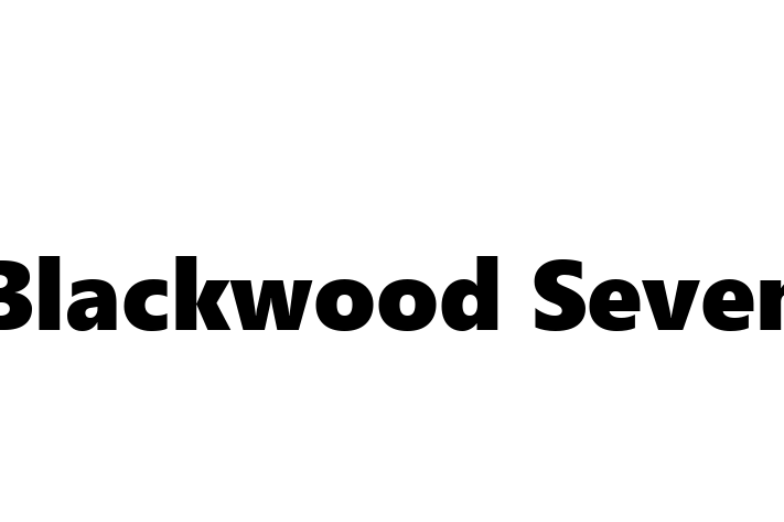 Software Firm Blackwood Seven