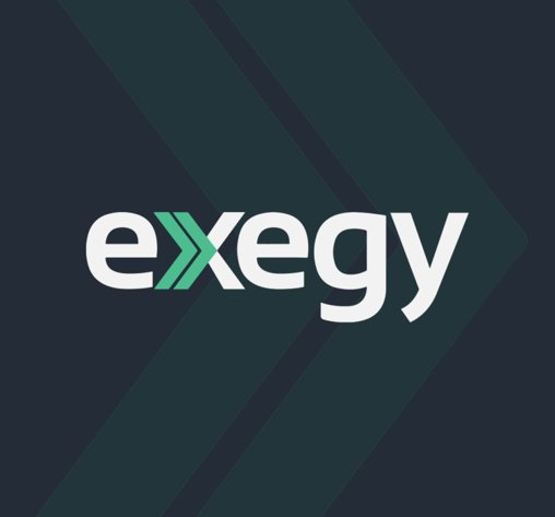 Software Consultancy Exegy Inc