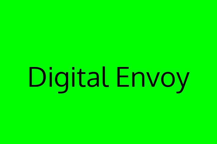 IT Company Digital Envoy