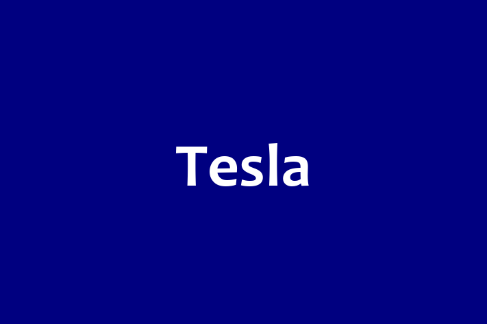 Staff Management Tesla