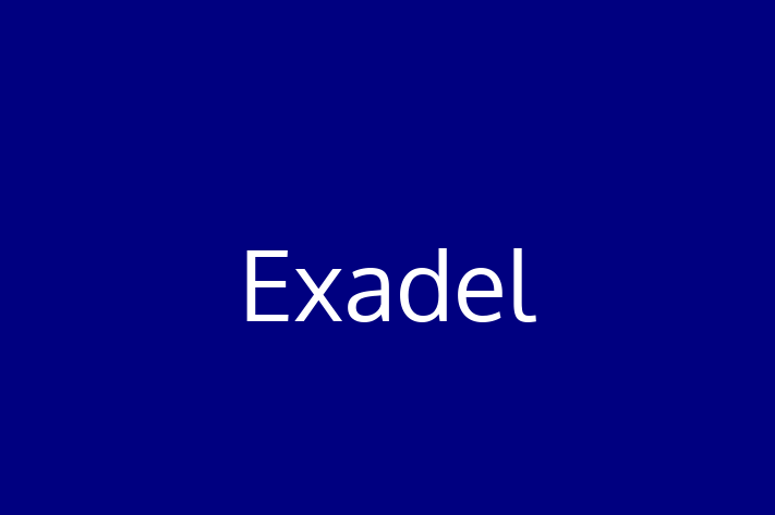 Software Development Firm Exadel