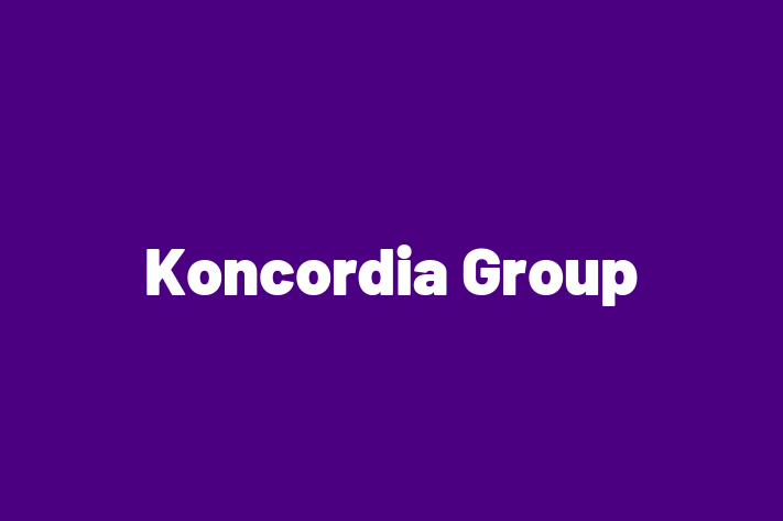 Software Development Company Koncordia Group