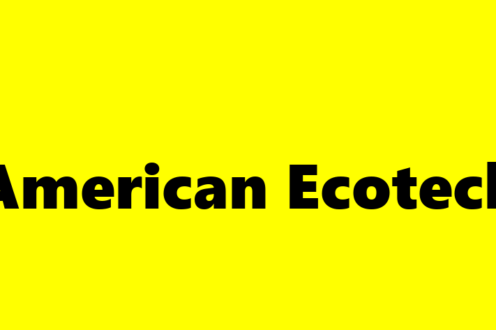 Digital Solutions Provider American Ecotech