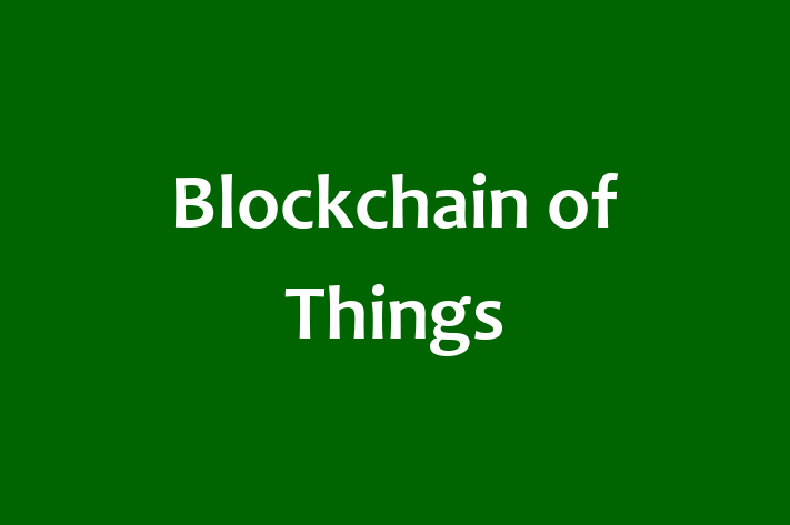 Software House Blockchain of Things