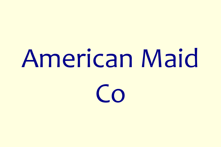 Home Cleaning American Maid Co