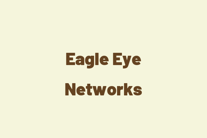 IT Company Eagle Eye Networks