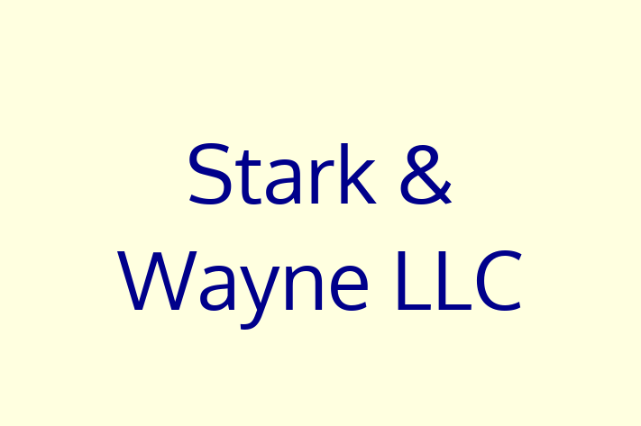 Technology Company Stark Wayne LLC