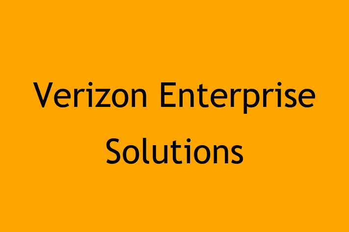 Software Development Company Verizon Enterprise Solutions