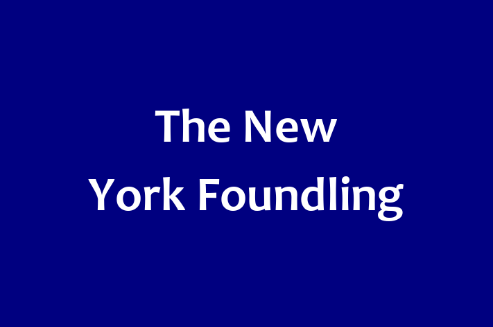 People Management The New York Foundling