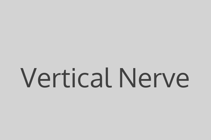 Software House Vertical Nerve