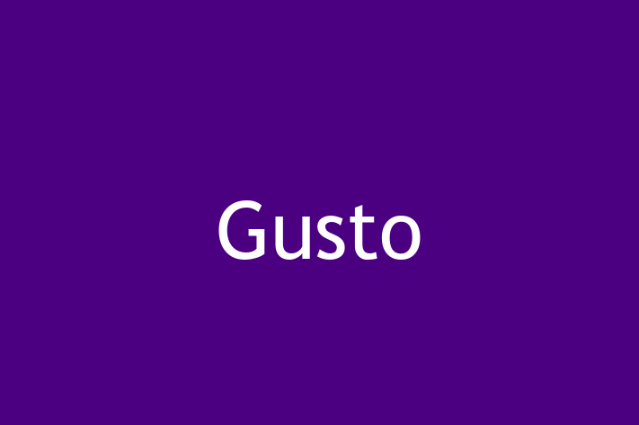 Technology Company Gusto