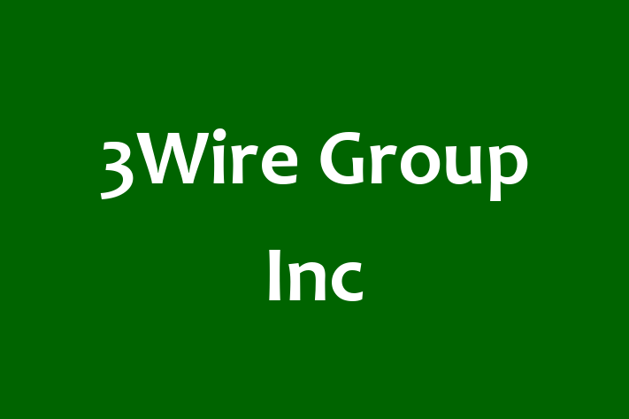 Software Consultancy 3Wire Group Inc