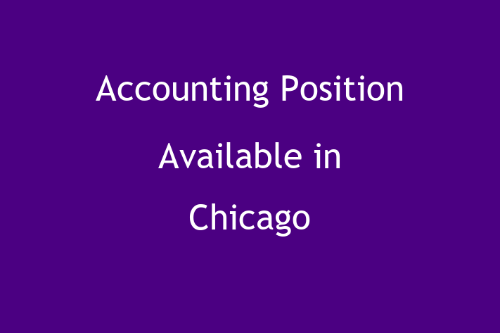 Accounting Position Available in Chicago